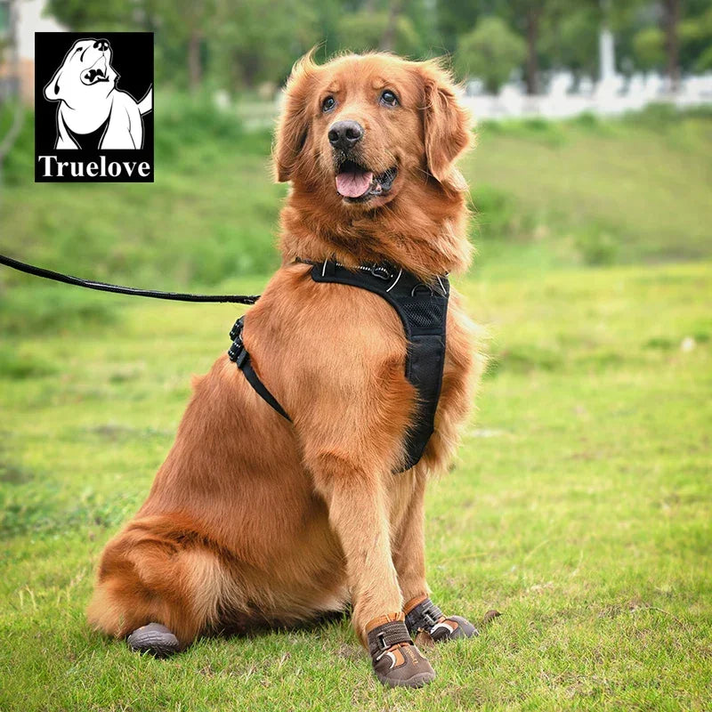 Truelove Waterproof Dog Boots & Paw Protectors – TLS3963 Peaceful Pleasures Health and Wellness