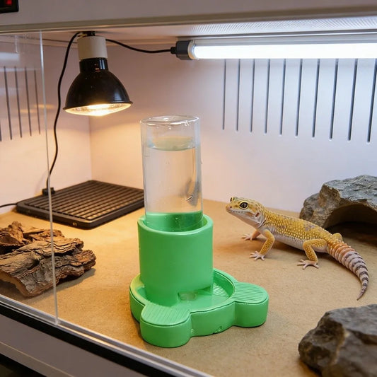 Reptile & Amphibian Water Dish | Anti-Slip Removable Base Bowl Reptile Water Dish Oasis Select