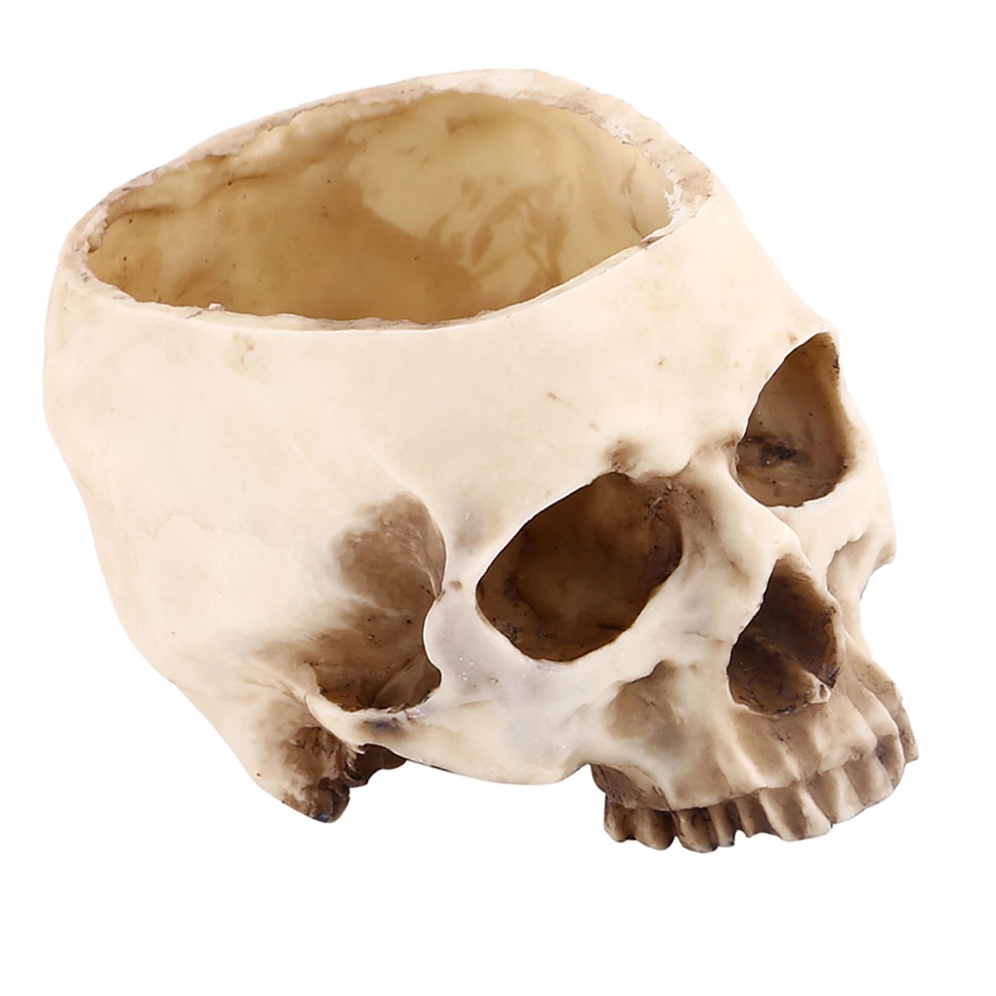 Resin Skull Head Flower Pot | Gothic Planter & Halloween Decor