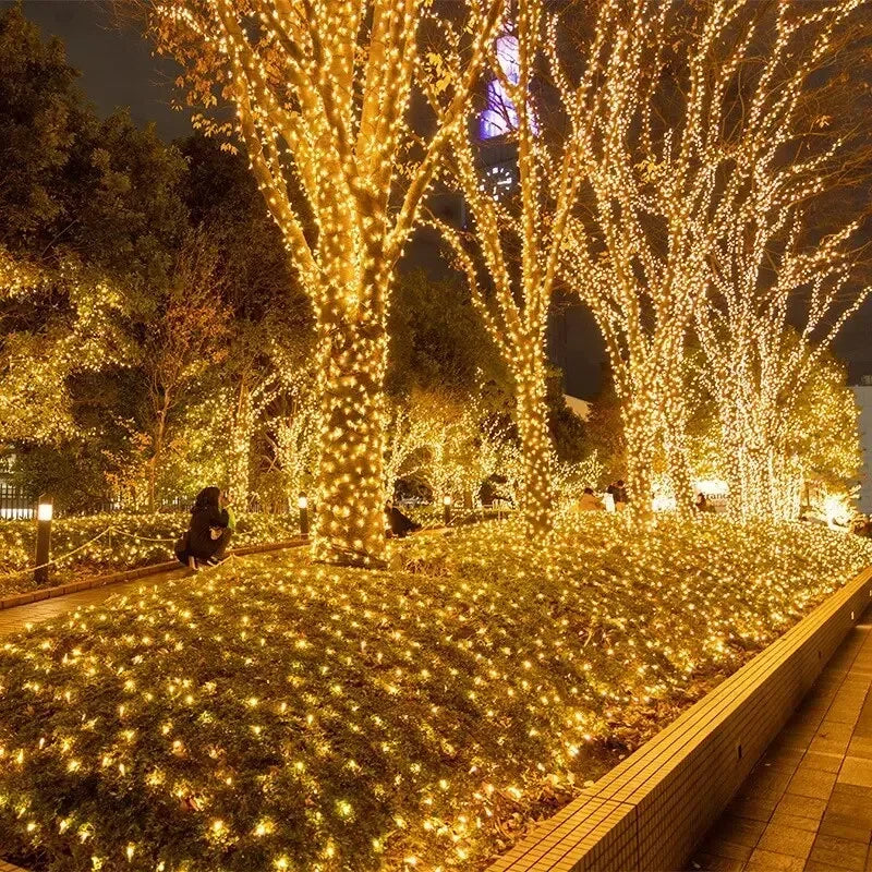 10M LED Fairy String Lights | 100 LEDs, 8 Modes, Indoor & Outdoor