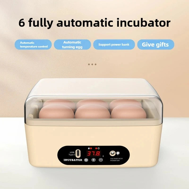 Automatic USB Powered Egg Incubator Portable Small Hatching Box for 5-6 Chicken Duck Pigeon Quail Eggs Educational Tool Peaceful Pleasures Health and Wellness