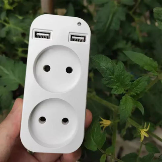 European Dual USB Wall Socket Converter Plug – 110-240V USB Wall Adapter Plug Peaceful Pleasures Health and Wellness