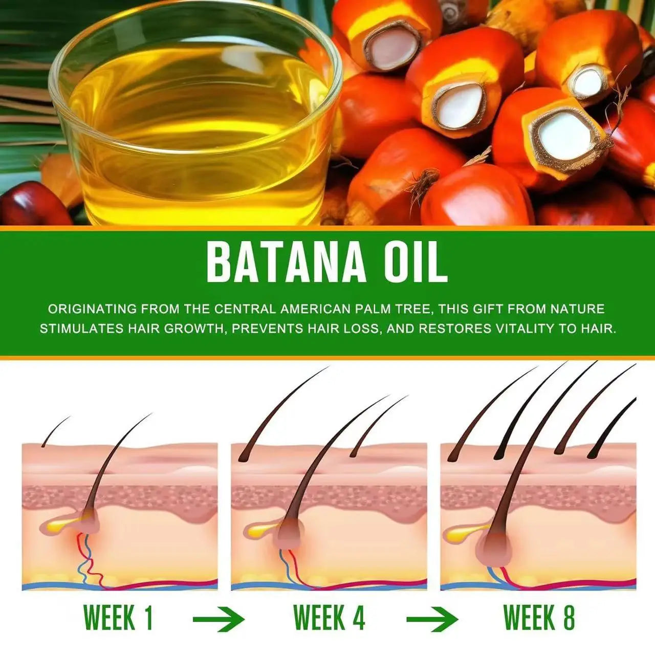 Raw Batana Oil for Hair Growth & Loss Prevention – 120g