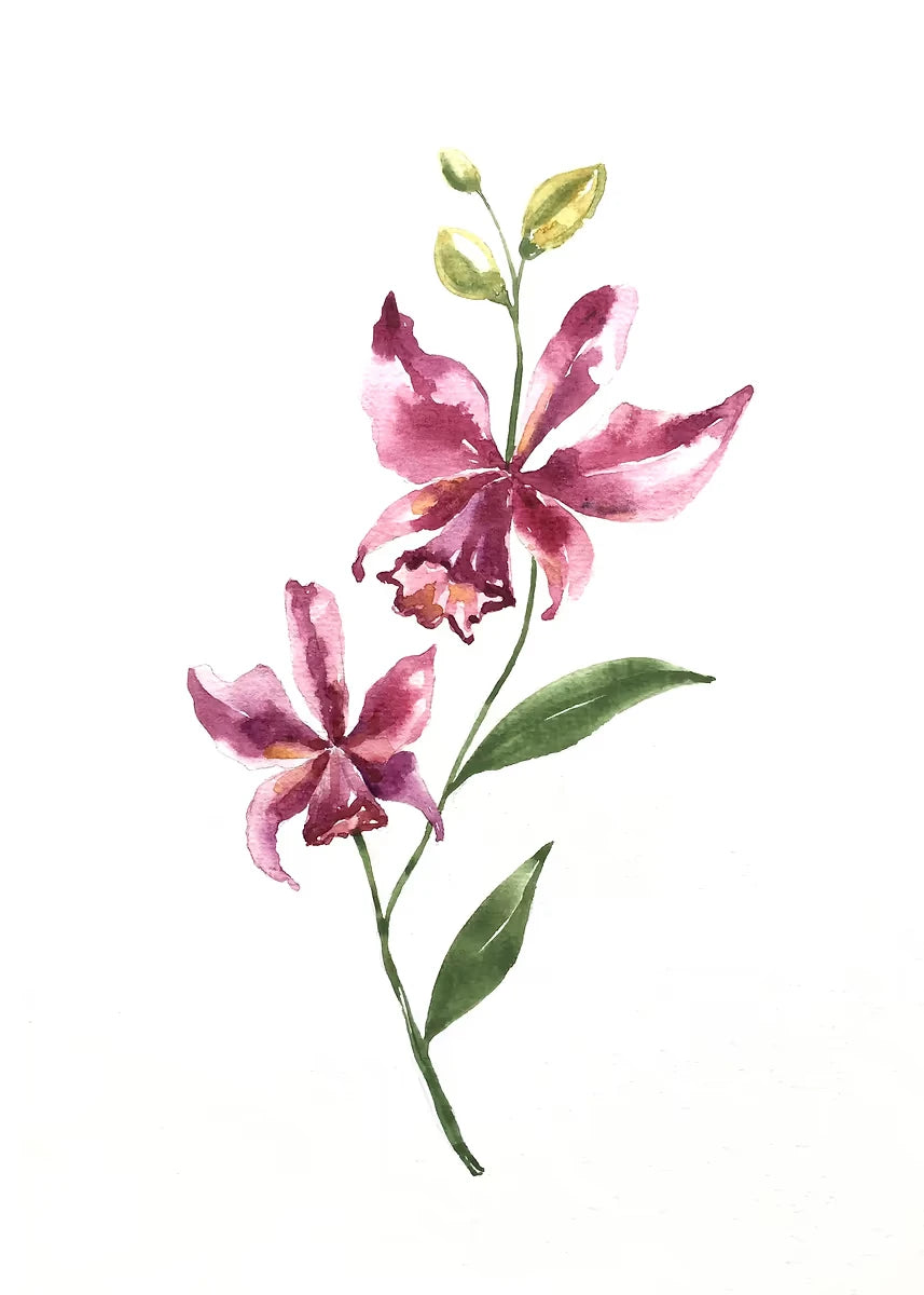 Watercolor Floral Canvas Wall Art Print | Unframed Poster