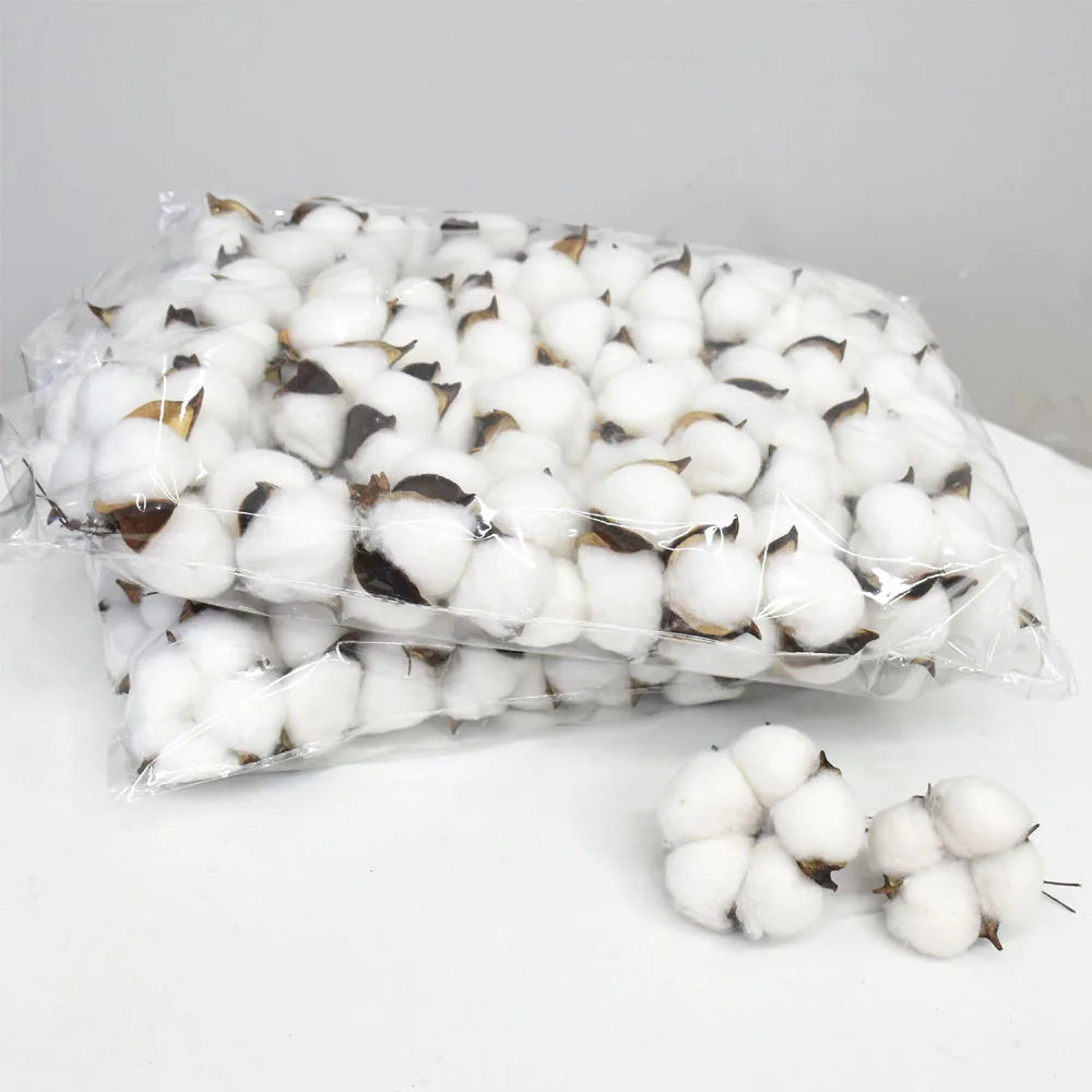 20pcs White Artificial Cotton Flower Heads 6cm | DIY Decor