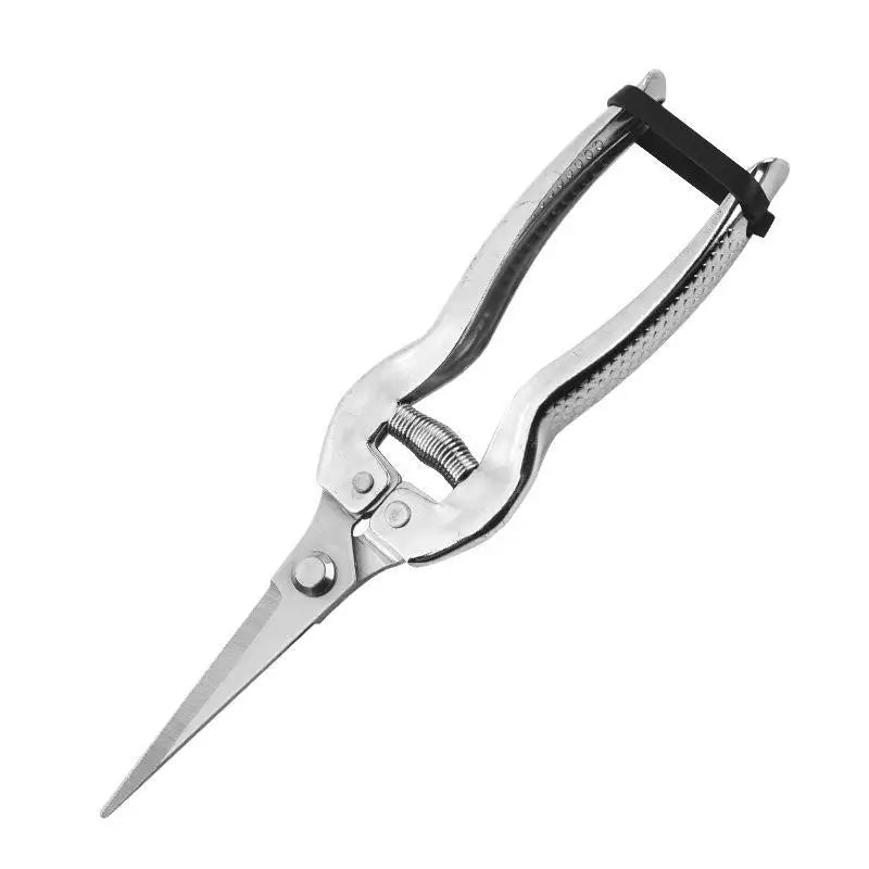 Stainless Steel Pruning Shears | Sharp Blades, Non-Slip Handle