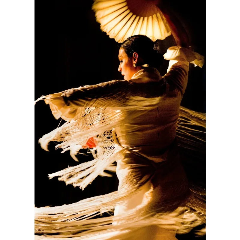 Flamenco Dancer Canvas Wall Art | Red Dress Spanish Gitana
