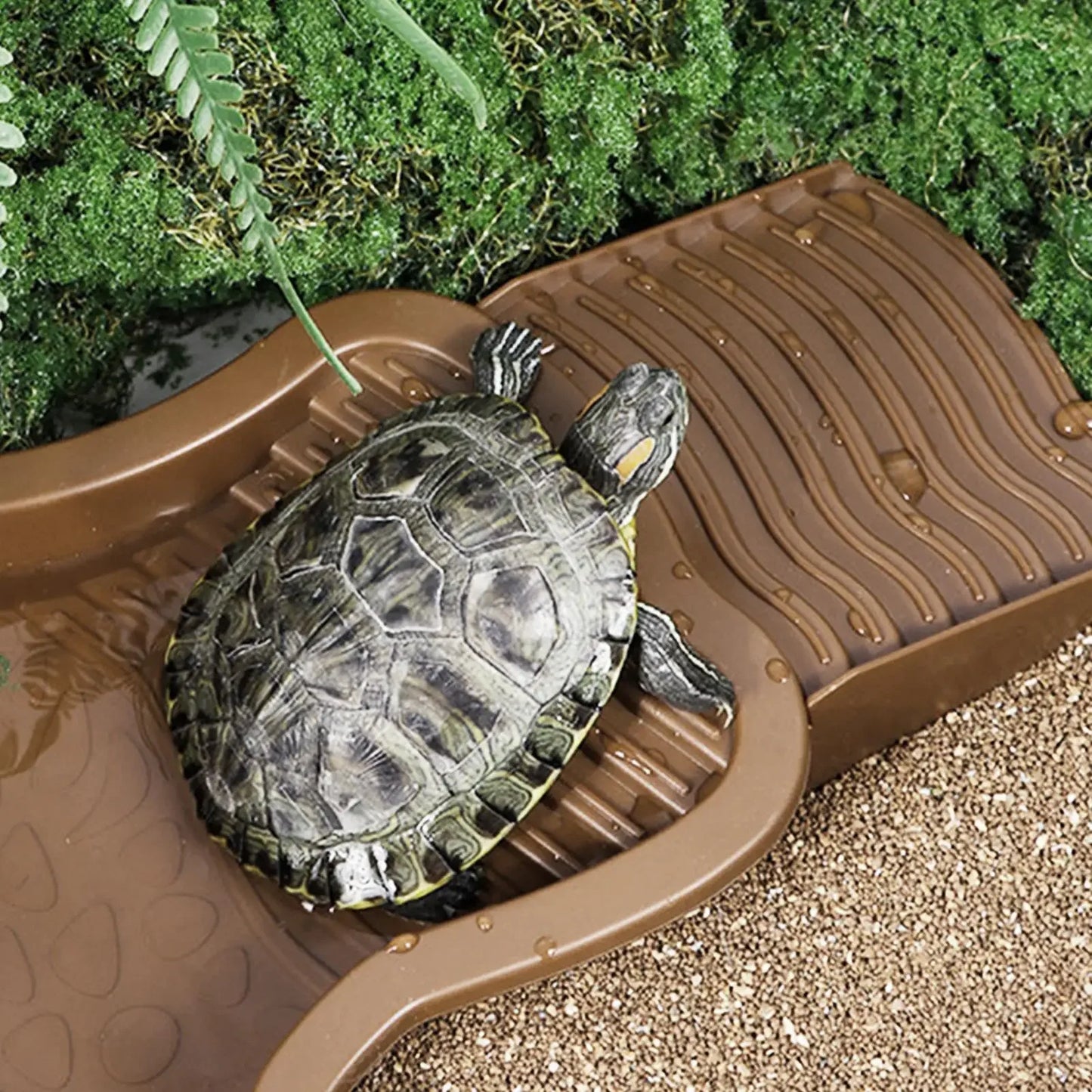 Reptile Bathing Pool with Ramp | Turtle Soaking Tub & Water Bowl