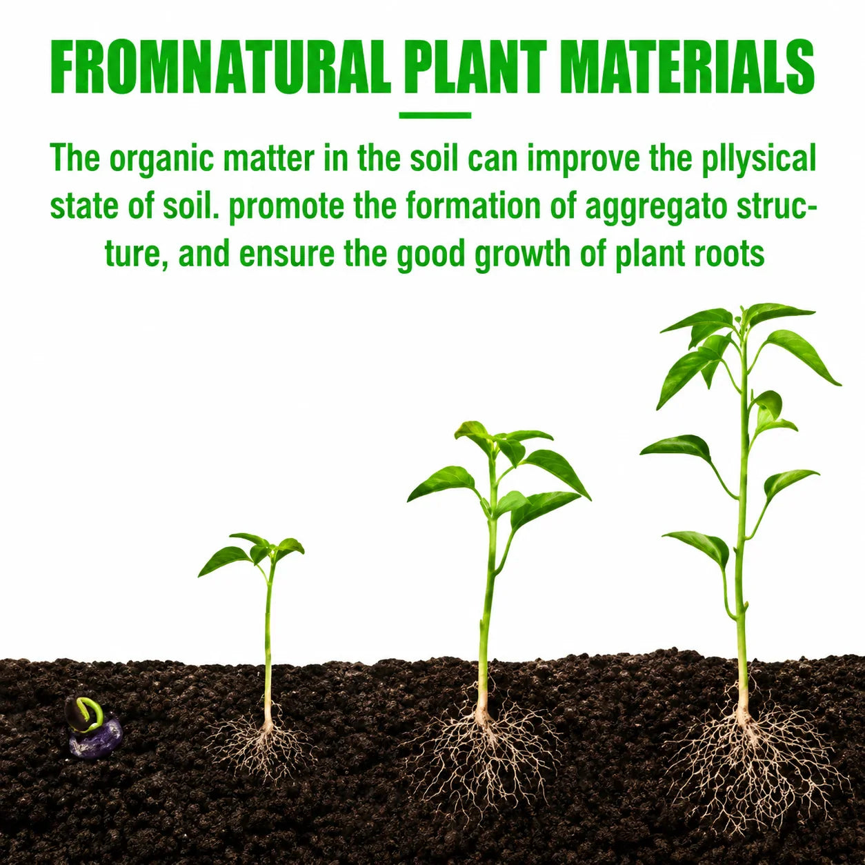 Plant Rooting & Nutrient Liquid Set – Boost Growth & Cuttings