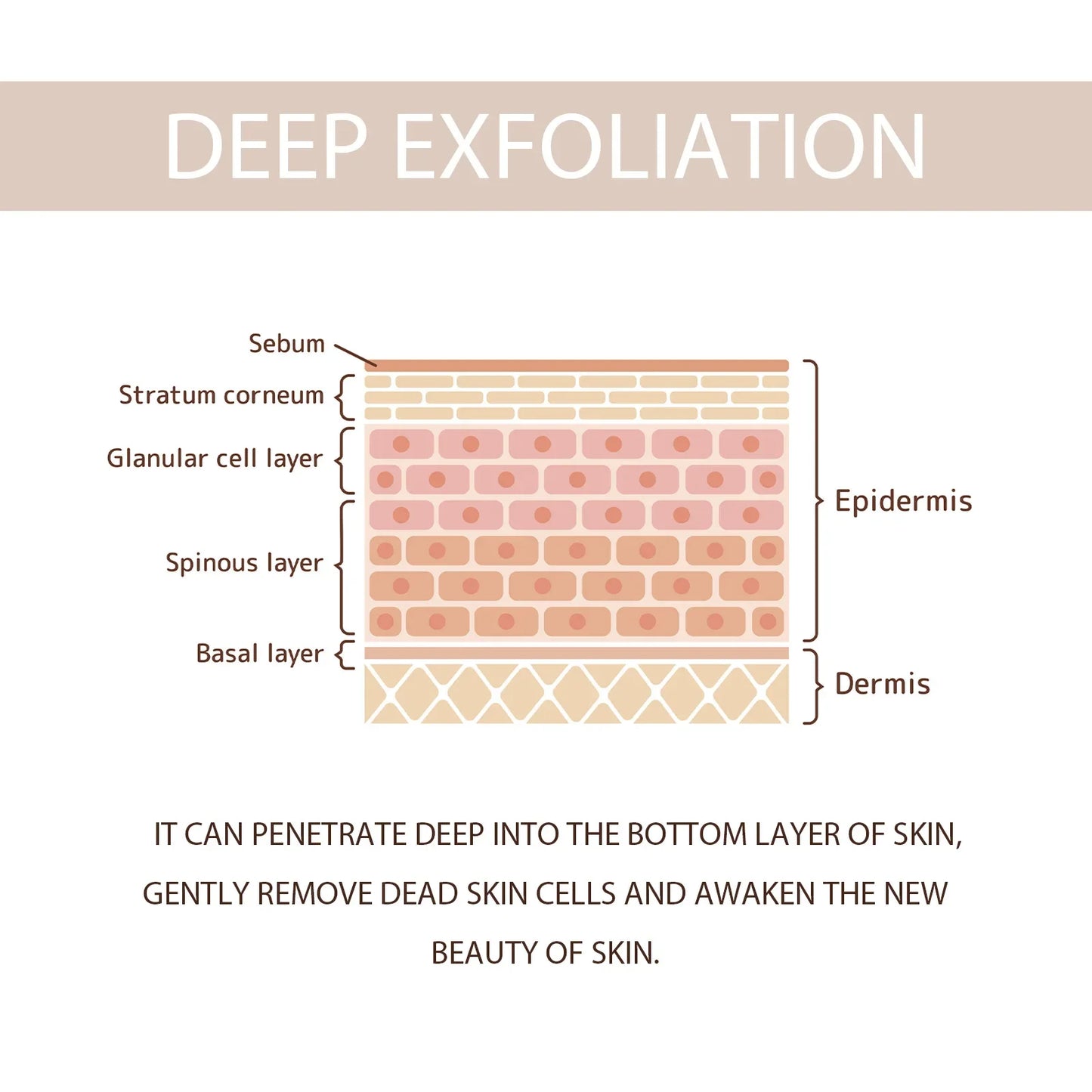 Exfoliating Peeling Gel – Pore Minimizer & Dead Skin Remover