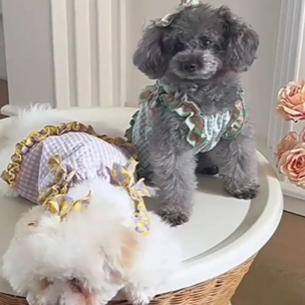 Plaid Lace Pet Dress – Soft Summer Skirt for Cats & Puppies