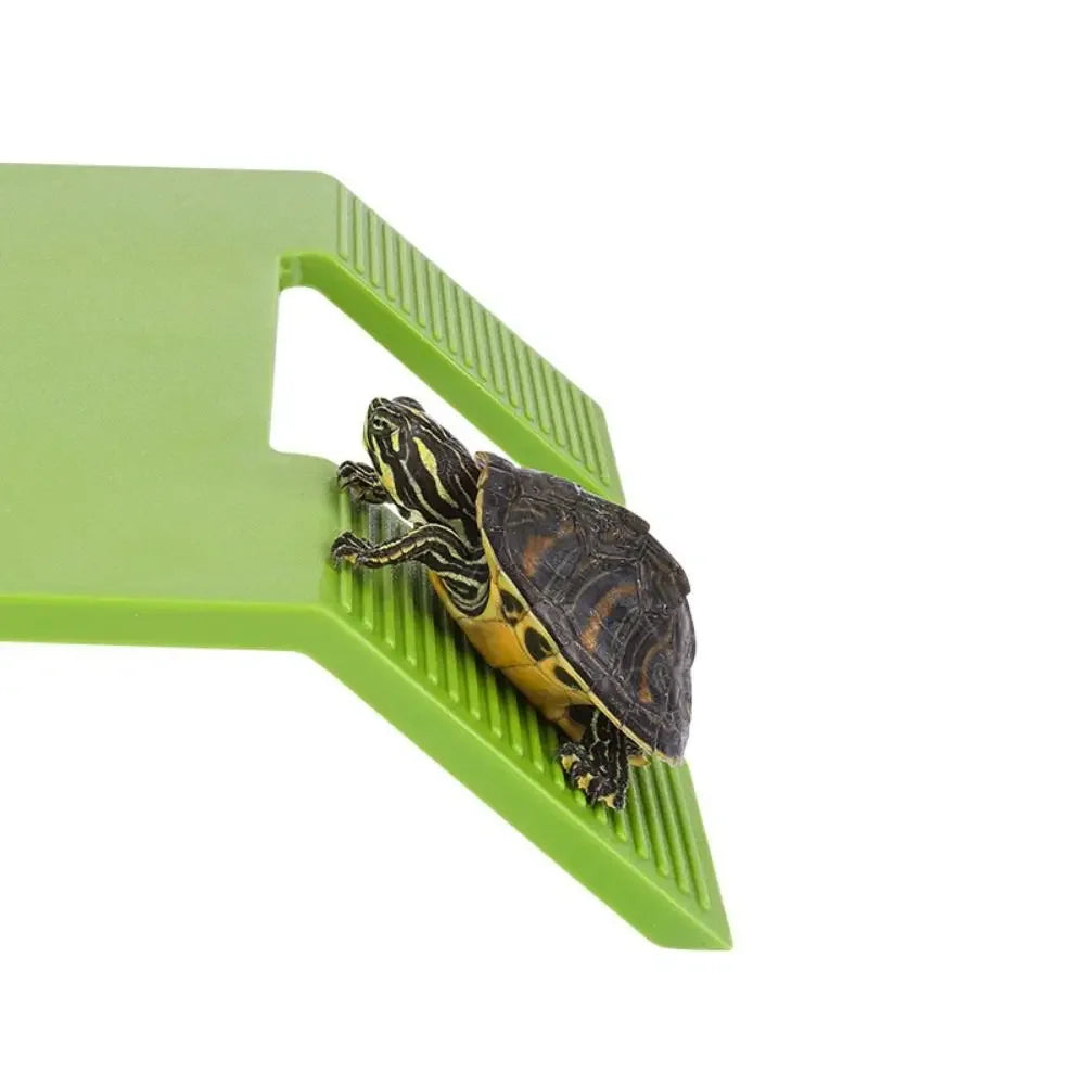 Floating Turtle Basking Platform | Aquatic Turtle Climbing Terrace