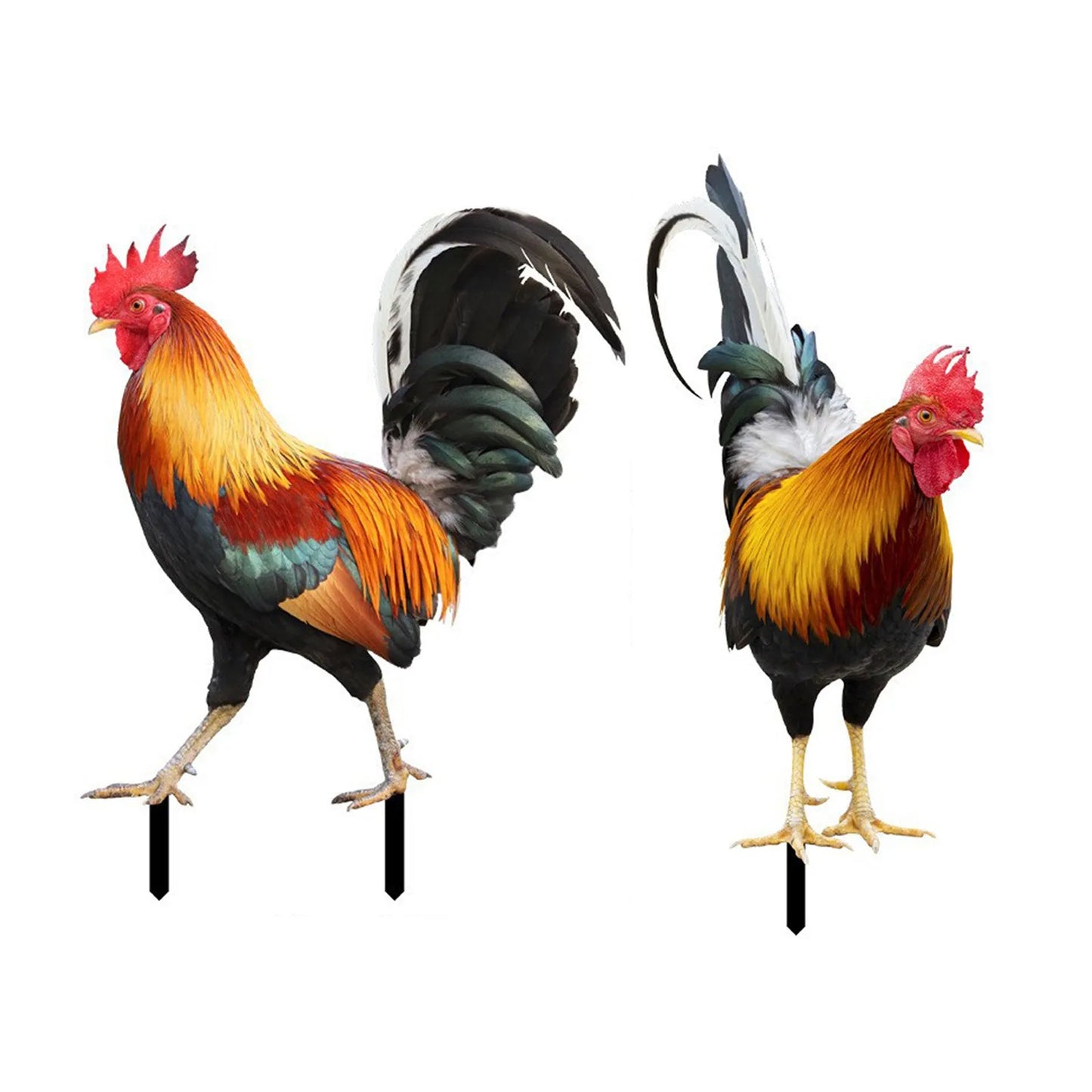 2D Acrylic Chicken Rooster Garden Stake Yard Art Ornament