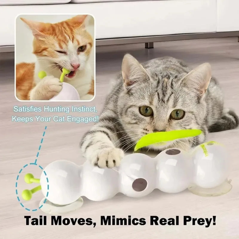 Motion-Activated Caterpillar Cat Toy | Rechargeable Interactive