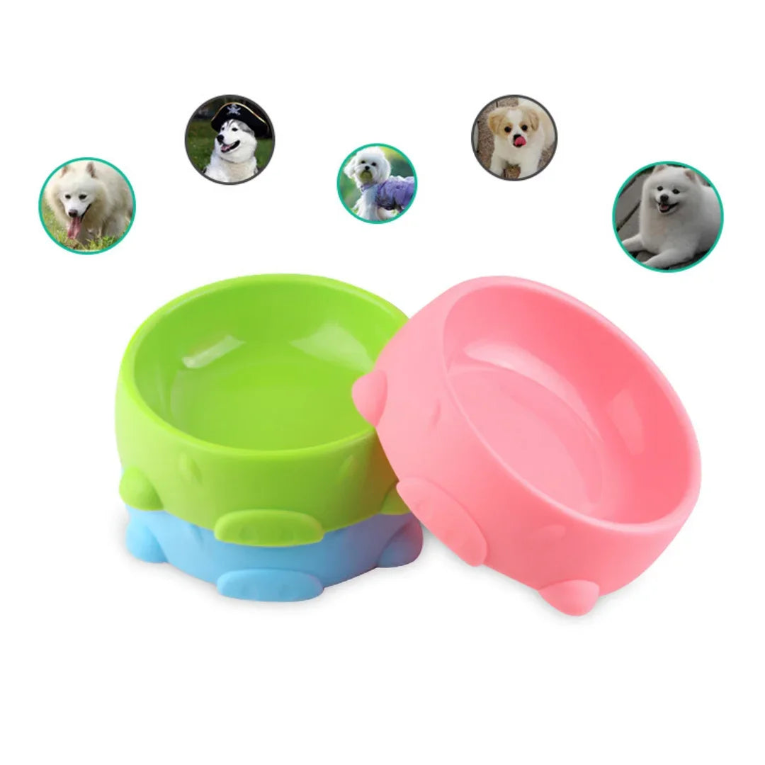 Candy Color Non-Slip Slow Feed Dog & Cat Bowls | Easy Clean