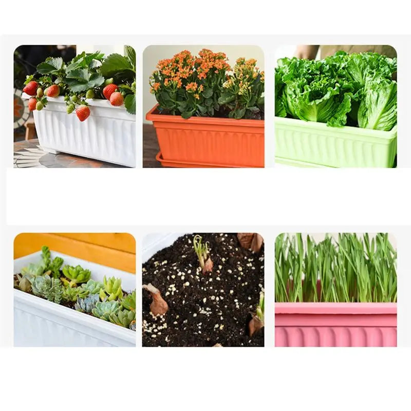 A36T-Nursery Pot Absorbing Water Vegetable Pot Long Strip Double Layer Flower Pot Plastic Basin For Indoor Garden Balcony Peaceful Pleasures Health and Wellness