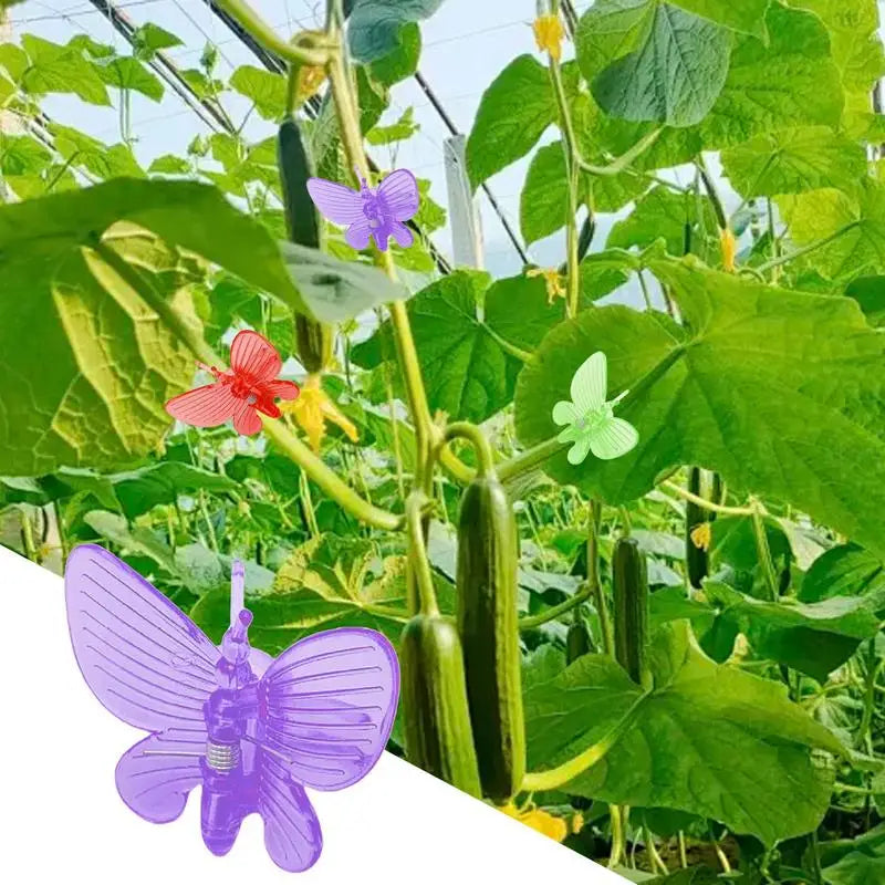50-Pack Butterfly Plant Clips | Orchid & Vine Stem Support