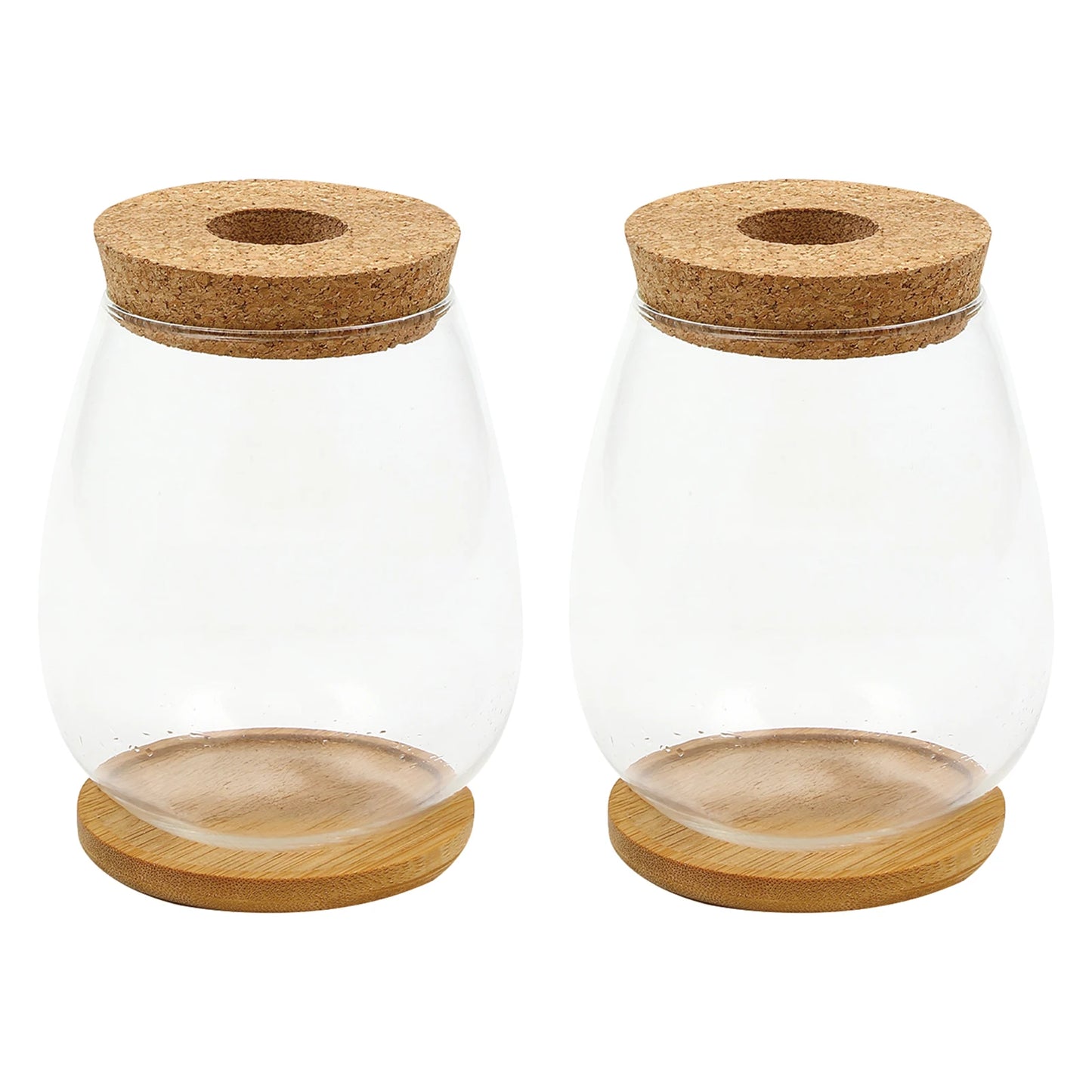 Plant Terrarium Transparent Vase Desktop Propagation Stations Glass Planter For Office Home Garden Decor Peaceful Pleasures Health and Wellness Two Sets