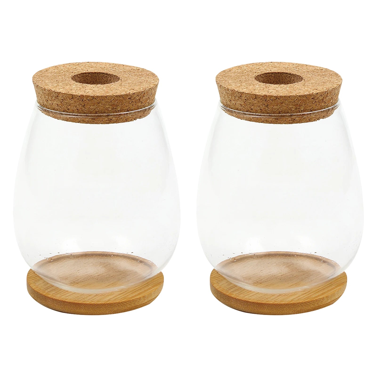 Plant Terrarium Transparent Vase Desktop Propagation Stations Glass Planter For Office Home Garden Decor Peaceful Pleasures Health and Wellness Two Sets