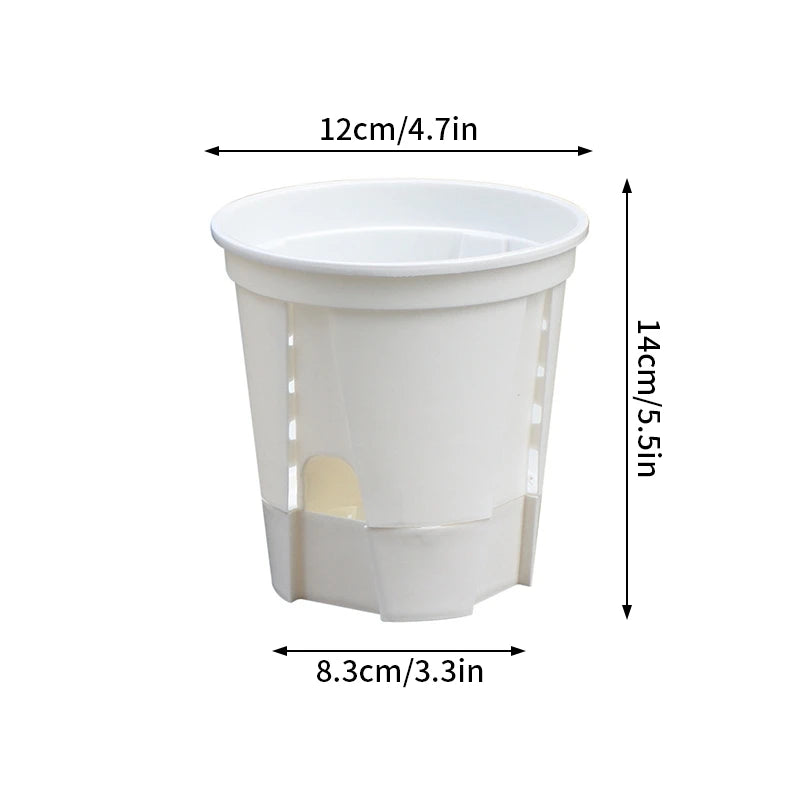 Self-Watering Transparent Orchid Pot | Double Layer Hydroponic
