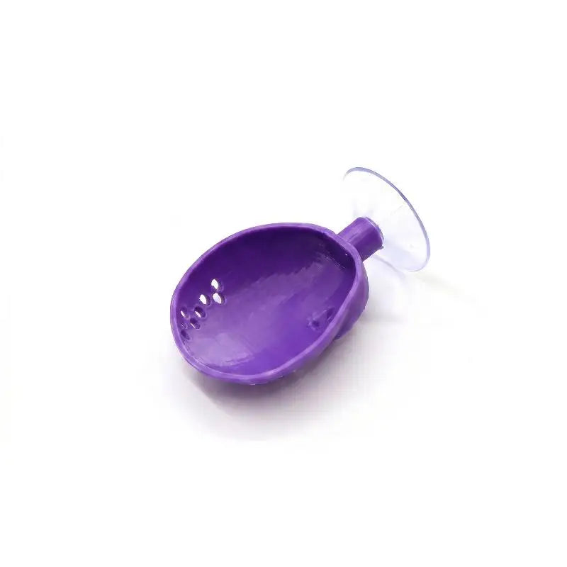 Shell Shaped Betta Feeding Dish with Suction Cup | Tank Decor