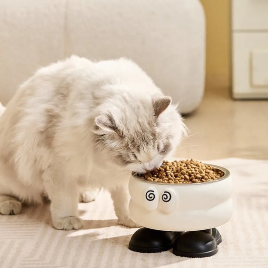 Elevated Stainless Steel Pet Bowl | Non-Slip Anti-Tip Elevated Pet Bowl Oasis Select