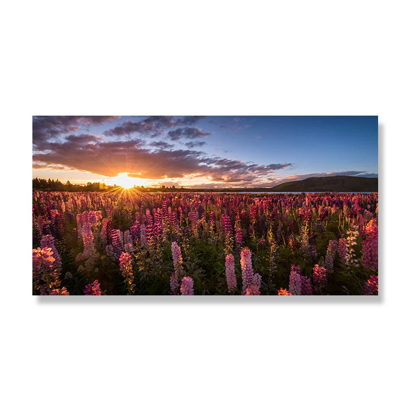 Lake Tekapo New Zealand Landscape Picture Canvas Painting Wall Art Lupin Flower Nature Mountain Posters Prints Living Room Decor Peaceful Pleasures Health and Wellness w3739 flower-3 30x60cm