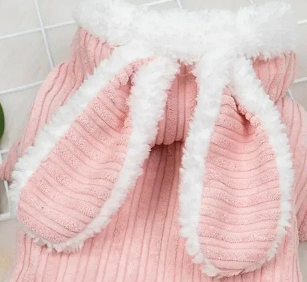 Winter Rabbit Ear Teddy Bear Dog Cat Clothes Warm Comfortable Elastic Cute Pet Coat Clothing for Small Dogs Peaceful Pleasures Health and Wellness