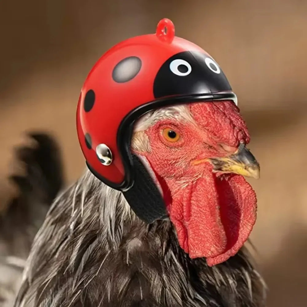 Farm Pet Chicken Helmet Sun Rain Protection Cute Hat for Hens Outdoor Henhouse Protective Gear Fighting Cock Funny Pet Toys Peaceful Pleasures Health and Wellness