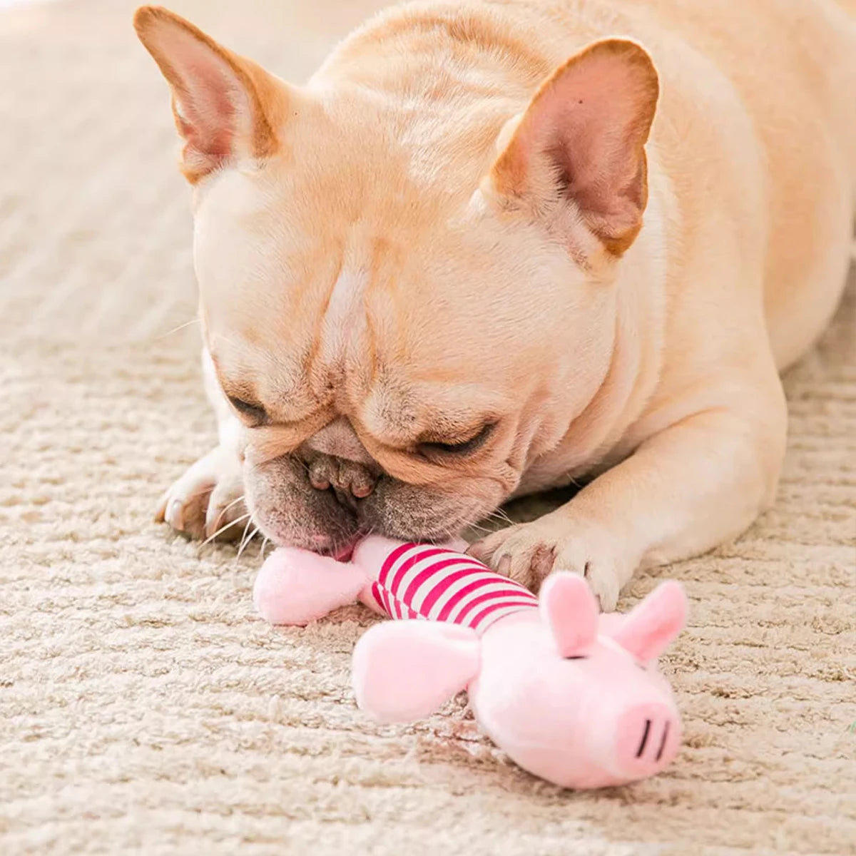 Plush Squeaky Crinkle Dog Toys – Elephant Duck Pig Set