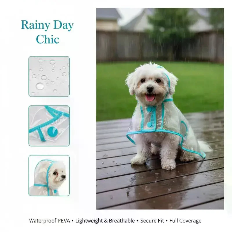 Transparent Waterproof Dog Raincoat XS–4XL | Clear PVC Pet Coat