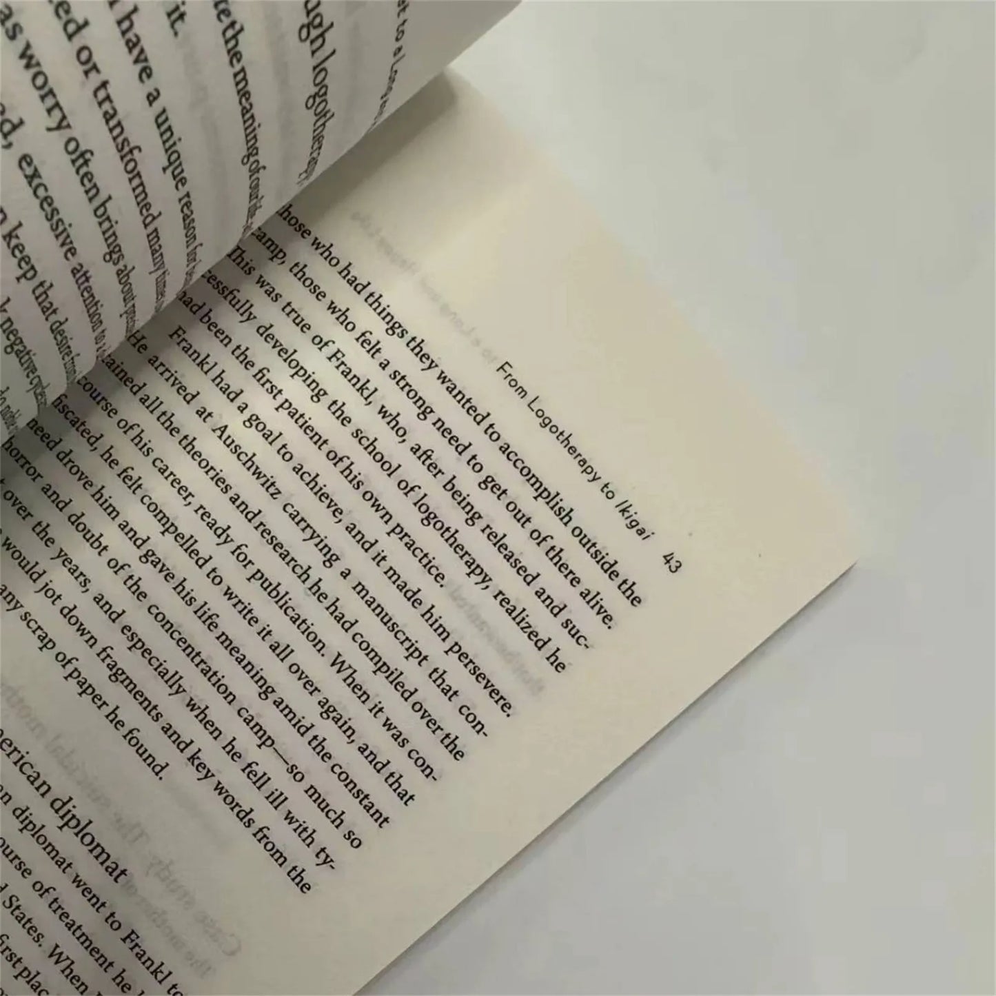 Bview Art English Version Japanese Secret Philosophy Happy Healthy