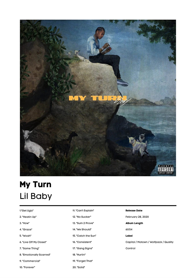 Music Album Cover Canvas Poster | Mac DeMarco, RHCP & More