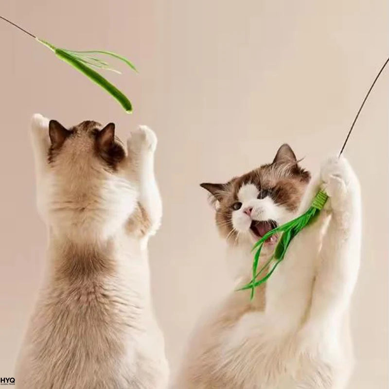 Juguetes Para Gatos Varilla Flexible Plumas Y Hierba Mascotas