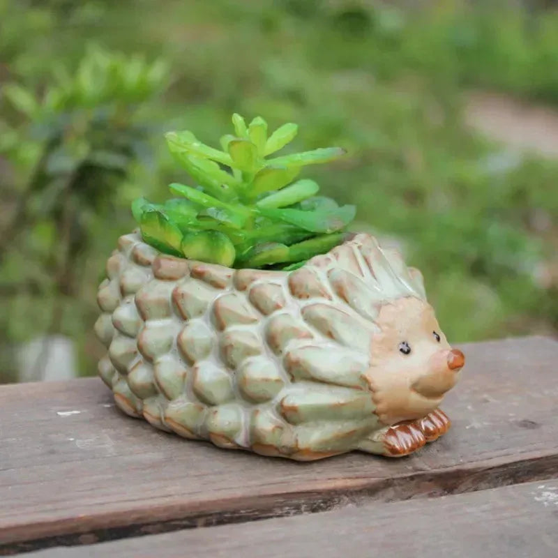 Hedgehog Ceramic Planter | Kiln Glaze Succulent & Bonsai Pot
