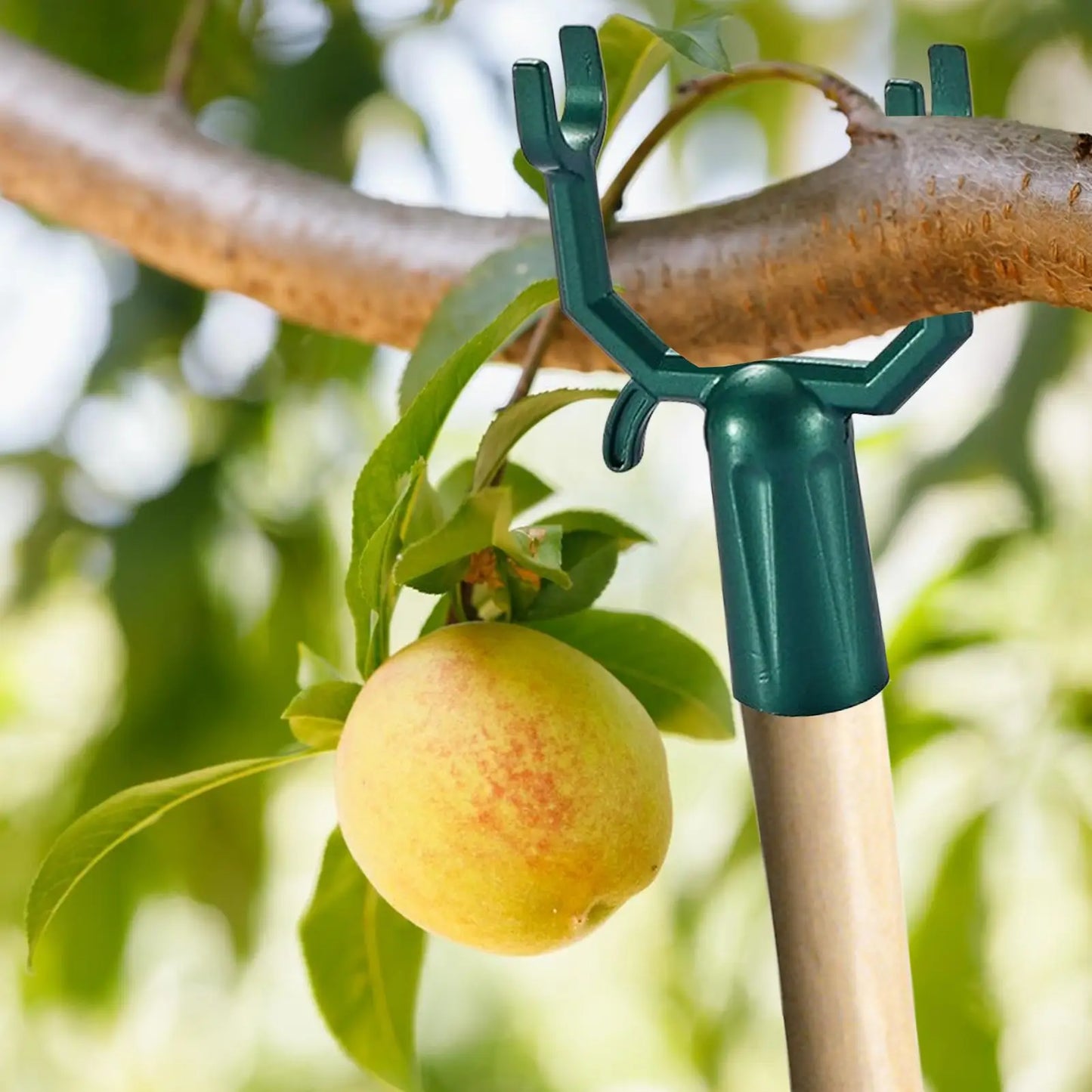 5-Pack Reusable Tree Branch Support Braces | Garden Plant Stakes