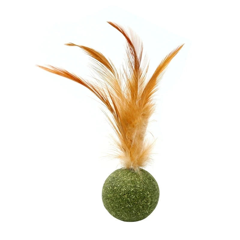 Edible Catnip Ball Cat Toy – Wood, Feather & Teeth Cleaning