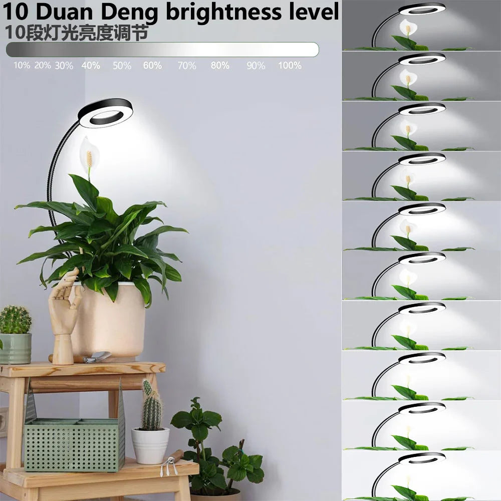 Full Spectrum LED Grow Light Clip-On Dimmable | SHINEKNOT
