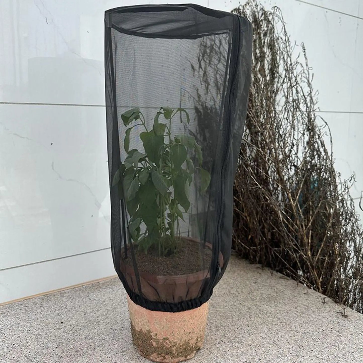 Plant Covers 2 Pieces Protective Garden Bird Barrier Mesh Plant Pot Covers for Potted Tomato Vegetables Blueberry Bushes Fruit Peaceful Pleasures Health and Wellness