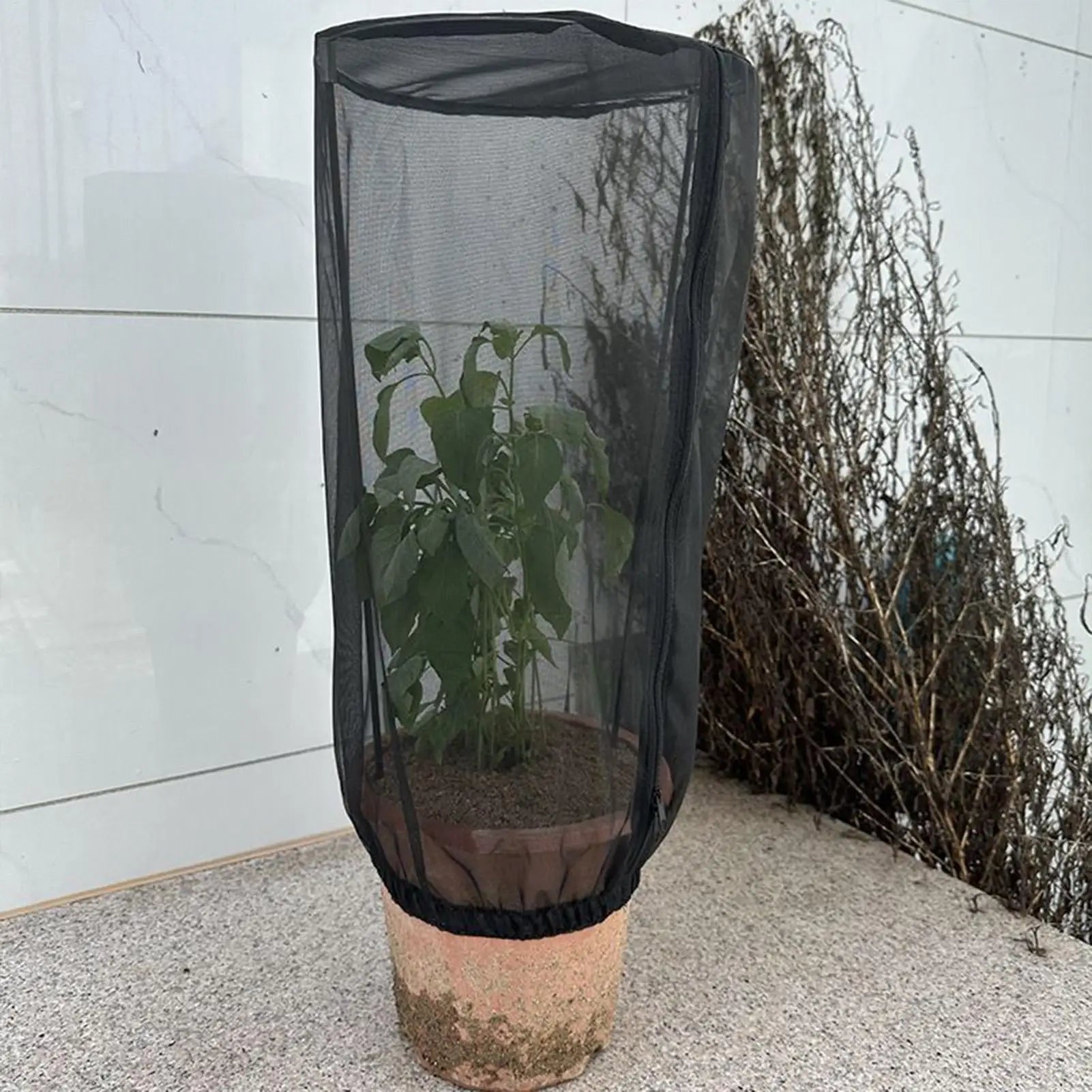 Plant Covers 2 Pieces Protective Garden Bird Barrier Mesh Plant Pot Covers for Potted Tomato Vegetables Blueberry Bushes Fruit Peaceful Pleasures Health and Wellness