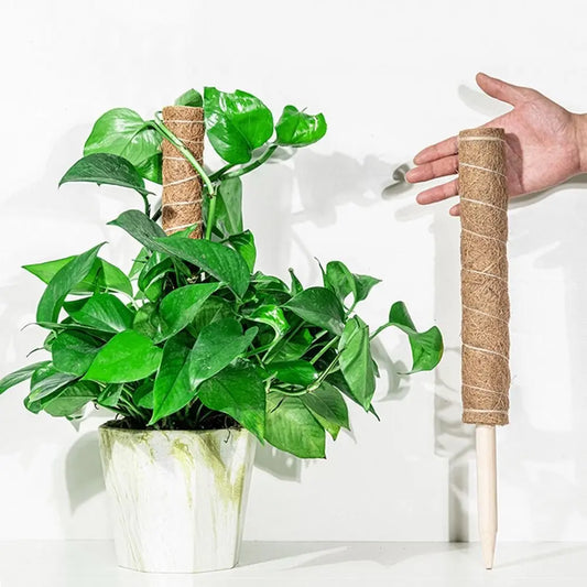 Stackable Coir Moss Pole 30/40/50cm | Plant Climbing Support Plant Climbing Pole Oasis Select