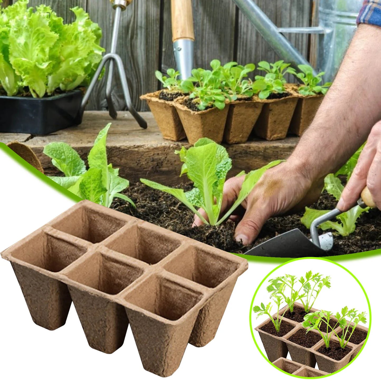 10/20Pcs Biodegradable Seed Starter Peat Pots Seed Growing Tray Planting Seed Tray Kit for Garden Grow Box Supplies Nursery Cup Peaceful Pleasures Health and Wellness