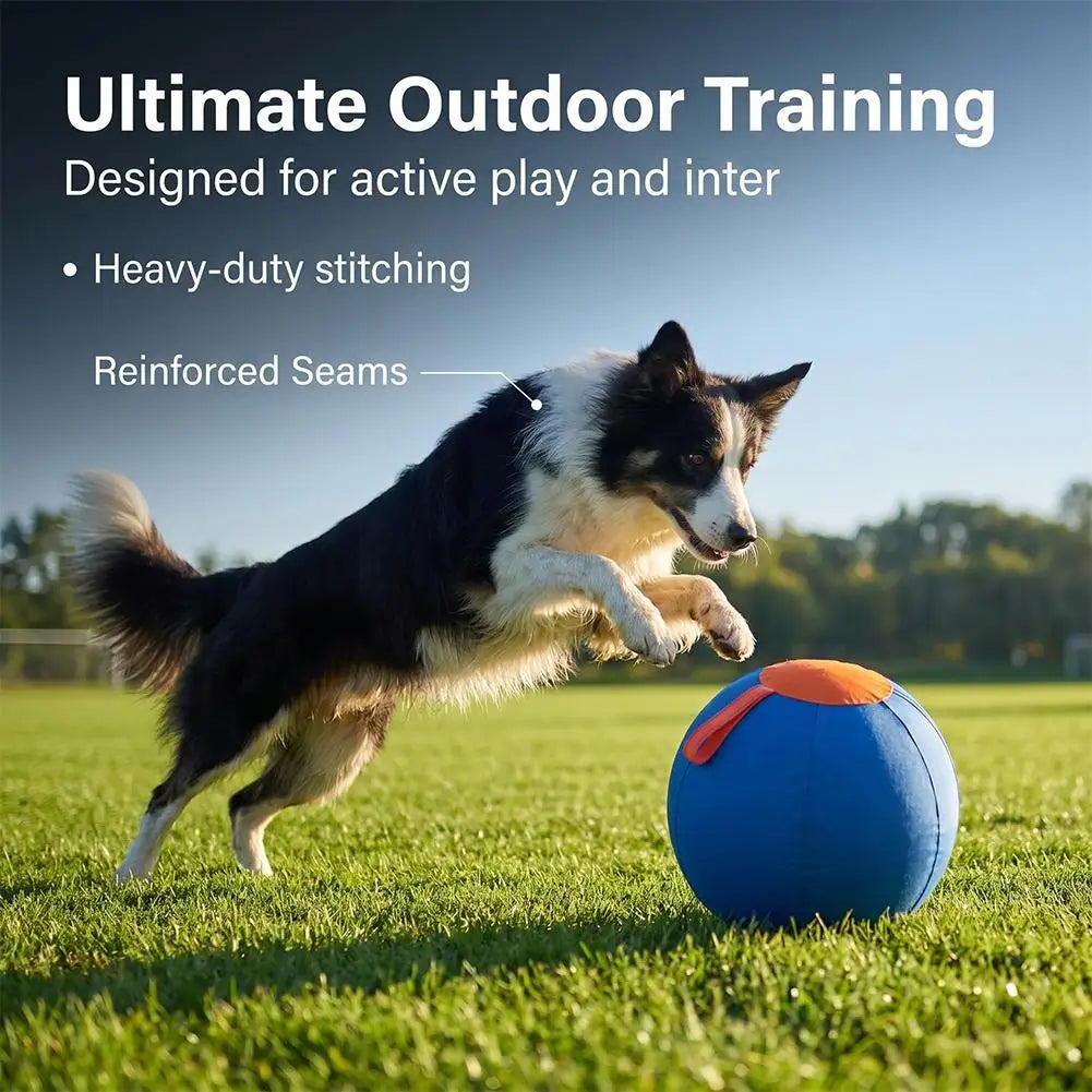 Dog Herding Ball – Anti-Burst Interactive Training Exercise Toy
