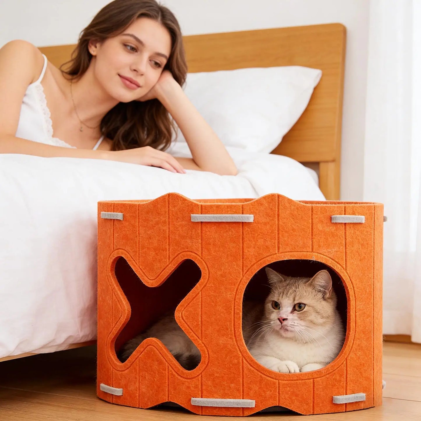 Felt Cat Cave Bed | Semi-Enclosed Double-Entry Pet House
