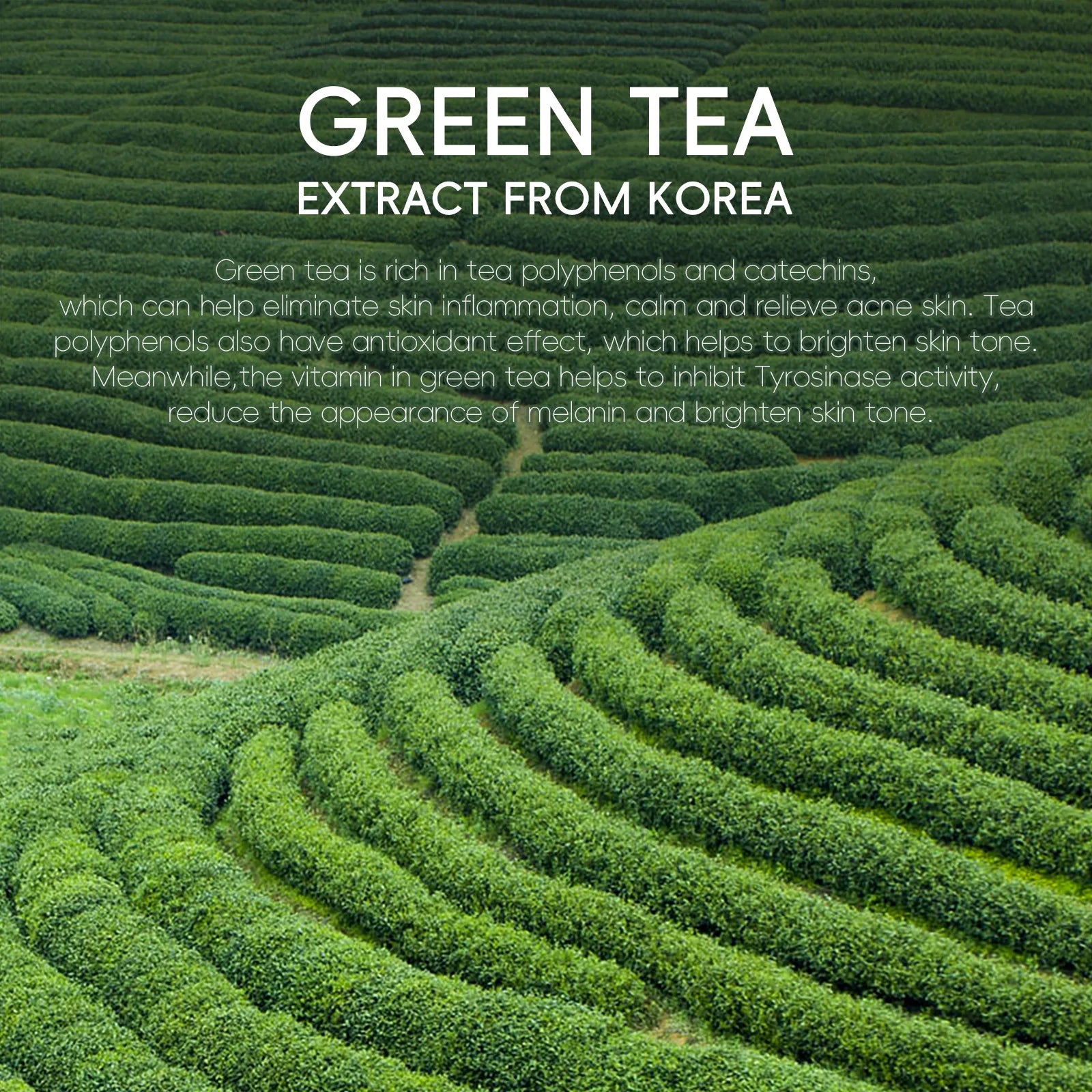 Green Tea Facial Cleanser 50g Skin Deep Cleansing Moisturizing Blackhead Removal Skincare Face Wash Foam Face Cleanser Skin Care Peaceful Pleasures Health and Wellness