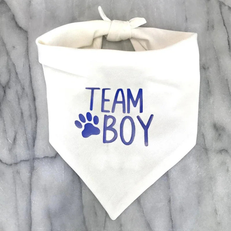 Team Boy & Team Girl Dog Bandana – Gender Reveal Party Prop