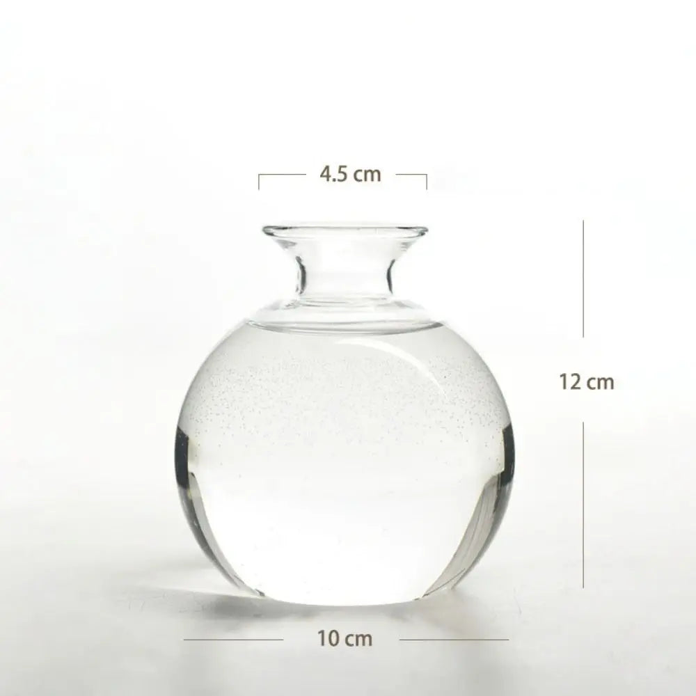 Avocado Seed Starter Glass Vase Growing Kit | Gift for Gardeners