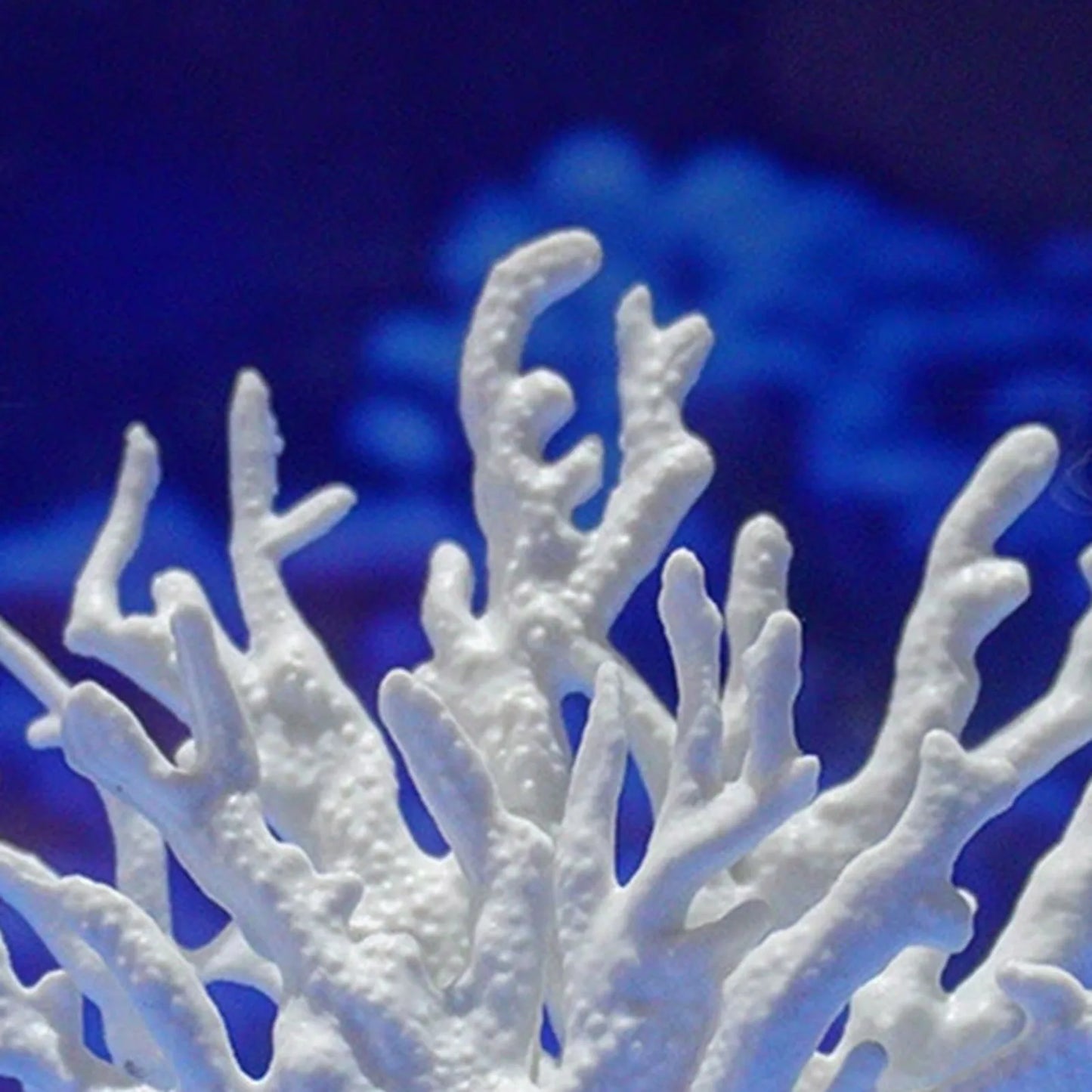 Artificial Aquarium Coral Ornament Realistic Aquarium Plants Fish Tanks Landscape for Fish Tank Aquarium Landscape Peaceful Pleasures Health and Wellness