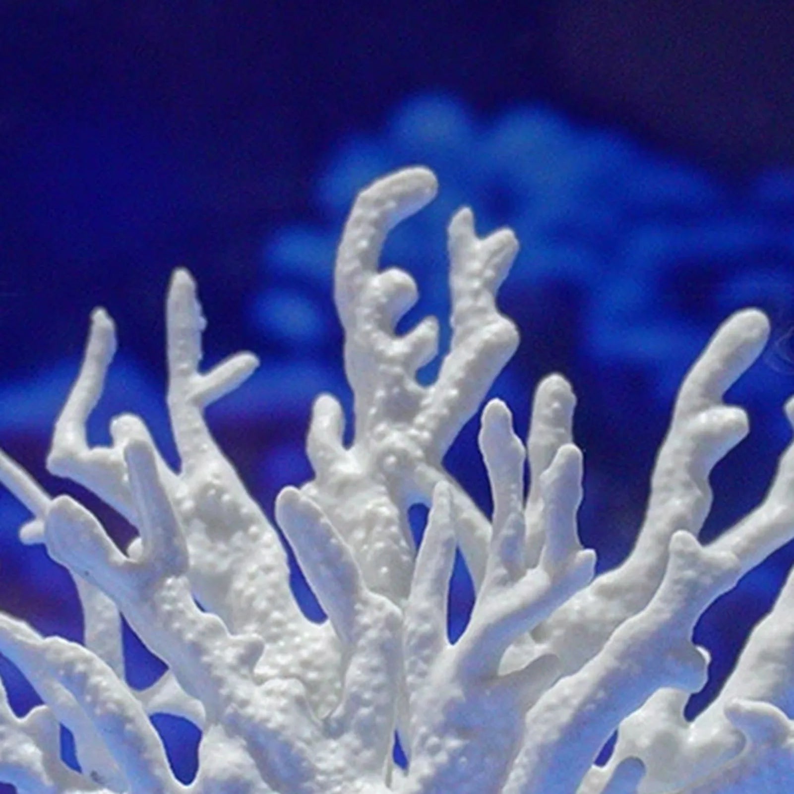 Artificial Aquarium Coral Ornament Realistic Aquarium Plants Fish Tanks Landscape for Fish Tank Aquarium Landscape Peaceful Pleasures Health and Wellness