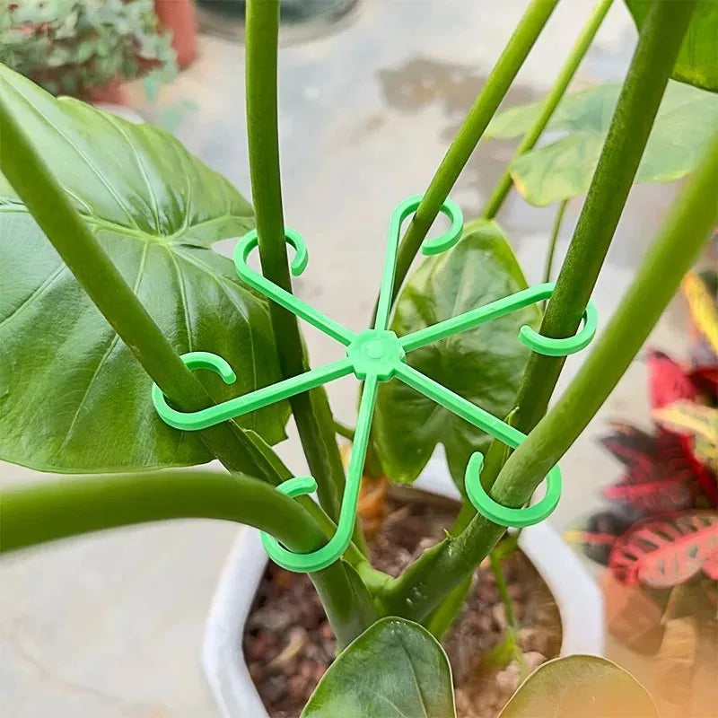 4PCS Plant Stem Support Stakes – Climbing Houseplant Trellis Hoops
